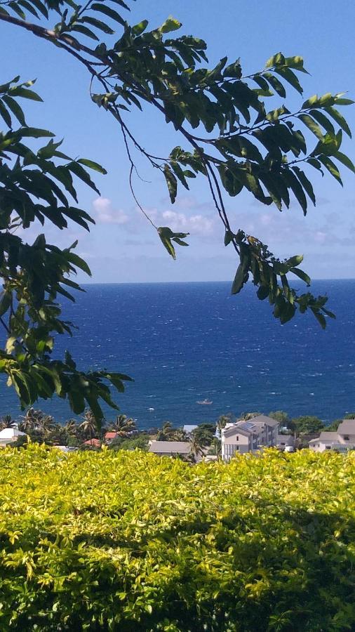 Suite Indigo Jacuzzi Prive Piscine Vue Mer Acces Cuisine Laverie Saint Pierre Exterior photo